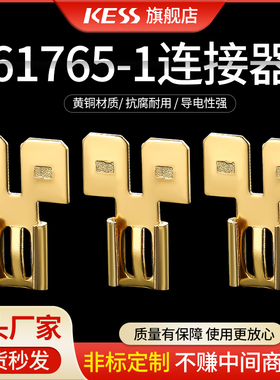 6.3 插簧带双头6.3 插片61765-1现货