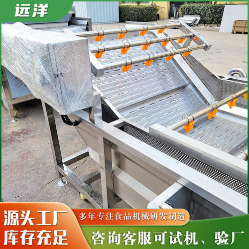 商用果蔬气泡清洗机 猕猴桃高压喷淋清洗设备 包菜清洗机设备