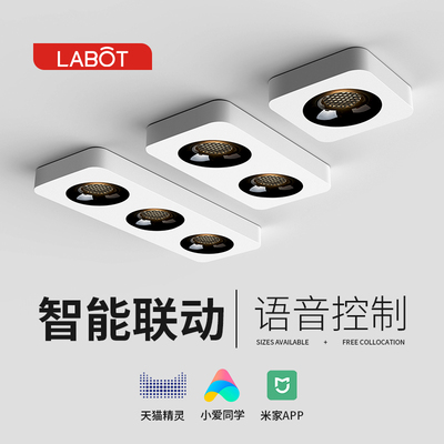 全光谱明装超薄led防眩斗胆卧灯单头主头三头无双灯客厅射室走廊