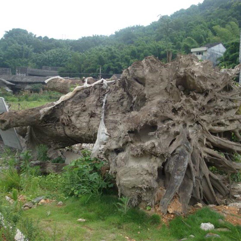 二胡配件/二胡琴码/高档二胡琴码木阴沉/琴码/千年秋枫阴沉木琴码