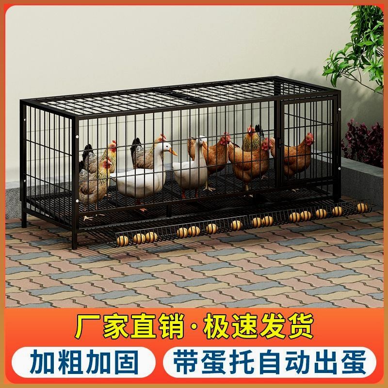 家庭养鸡笼大号家庭养殖特大号折叠鸭笼鹅笼自动滚蛋鸡笼鸡舍家用
