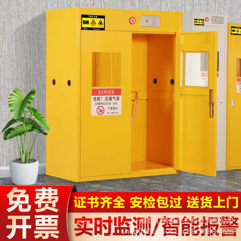 全钢智能报警排风防爆气瓶柜安全柜实验室双瓶煤气罐储存柜钢瓶柜
