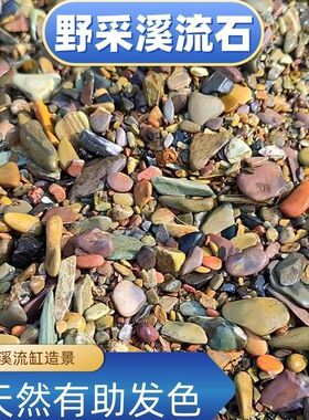 【火山石溪流石套餐】原生缸造景底沙天然砂南美缸雷龙鱼水草装饰