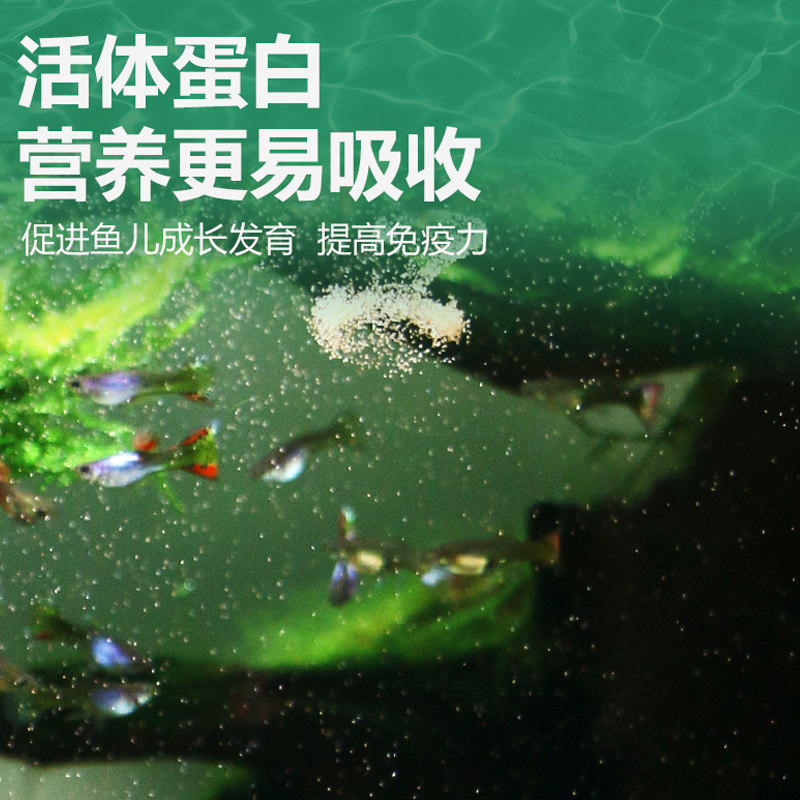 可孵化丰年虾卵精选西藏大红虾卵当年新卵高品质高孵化鱼食开口料