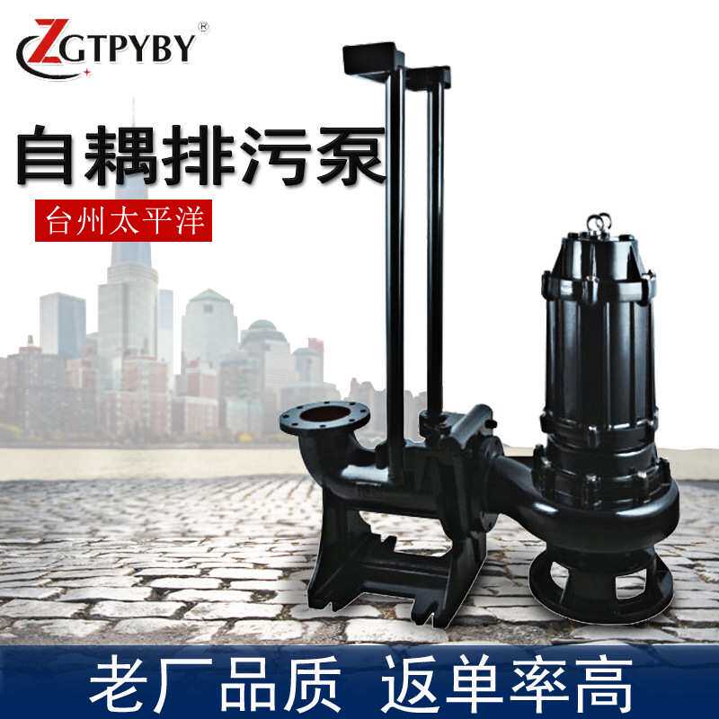 220V铸铁单相水泵 100WQ50-6-1.5 4寸大口径潜水排污水泵厂家