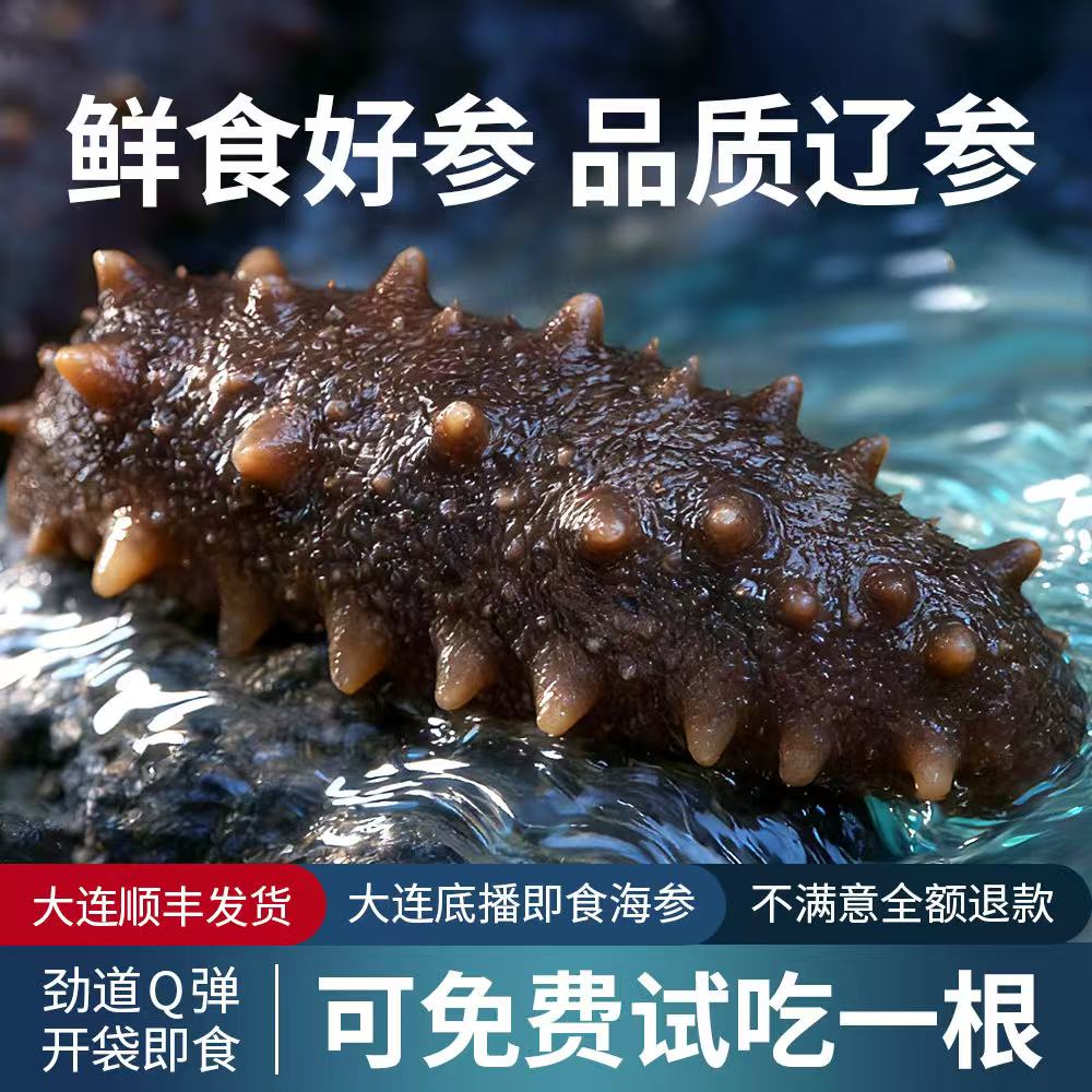 大连深海即食海参4-6根尝鲜装