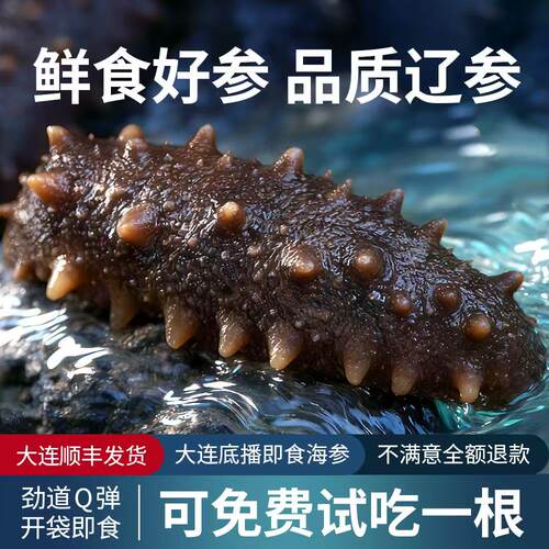 大连即食海参4-6根尝鲜装深海足龄鲜活海参高倍泡发滋补礼品