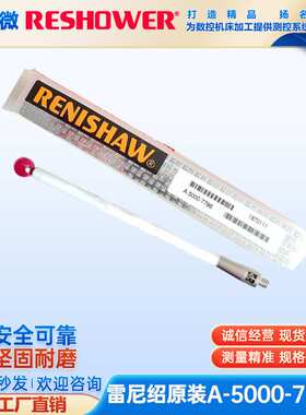 原装雷示微A-5000-7796 8.0宝石×100长M4陶瓷测杆探头机床测针