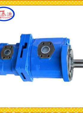 CBY3040/2016-A2FR双联齿轮泵 长江液压双联泵 煤机泵