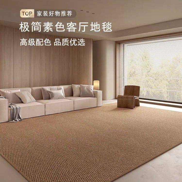 剑麻圈耐脏仿纯色沙发茶几感菠萝垫子客厅地毯简约高级客厅地毯