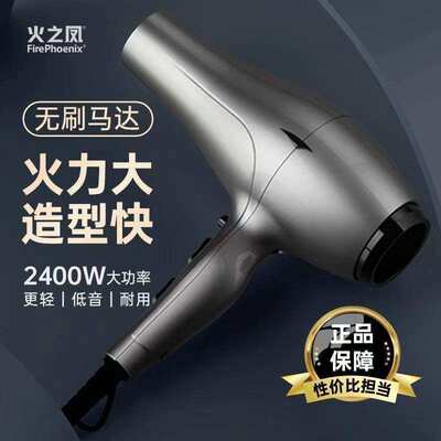 火之凤6600H电吹风机理发店发廊发型师2400W大功率无刷电机吹风筒