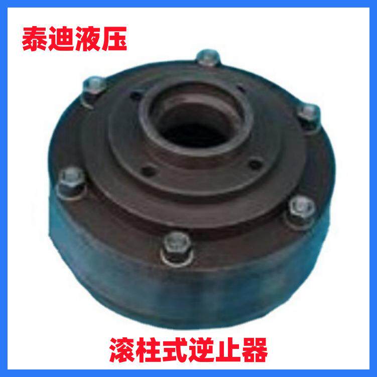 ZLY125 ZLY112滚柱式逆止器 配用泰隆 泰星减速机