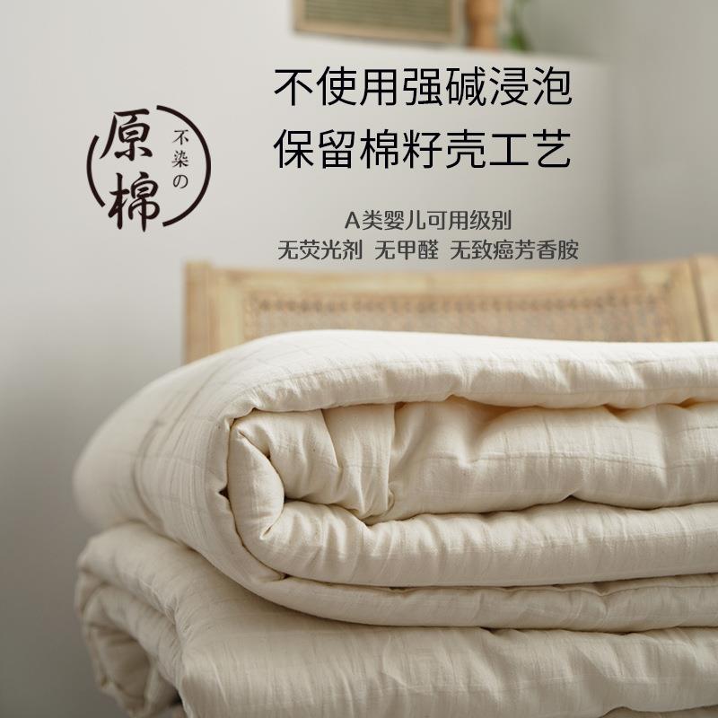无印原棉A类大豆纤维春秋被子纯棉良品冬被褥全棉双单人加厚被芯