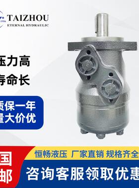 承受力强伊顿OMR160/200/250高压力铣刨机减速机液压摆线油马达