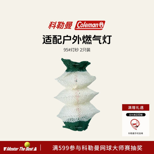 户外燃气灯95#灯纱2只装