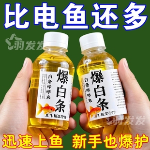 野钓小白条小药饵料白条鱼饵促食剂专攻白条餐条翘嘴马口诱鱼小药