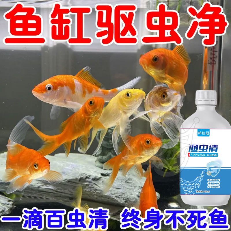 家用鱼缸】渔虫清祛除内外寄生虫