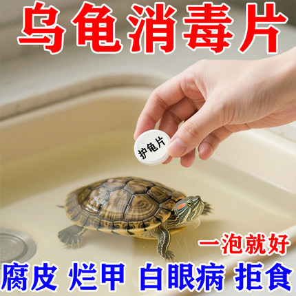 护龟片乌龟消毒片专治腐皮烂甲白眼病厌食净化水质杀菌乌龟通用型