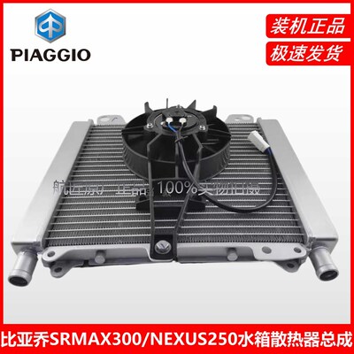 适用于比亚乔NEXUS250原厂水箱风扇SRMAX300原装水箱散热器
