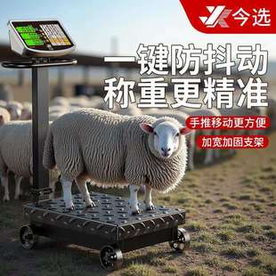 落地电子秤商用台秤摆摊高精度600公斤家用电子称地磅秤工业计数
