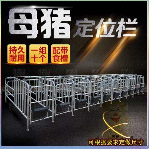 养殖场用厚热镀锌管大架厚钢板食槽子落地母猪定位栏限位栏工厂