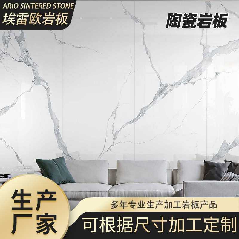 佛山 客厅大板地砖800x2600现代简约风通体瓷砖电视背景墙岩