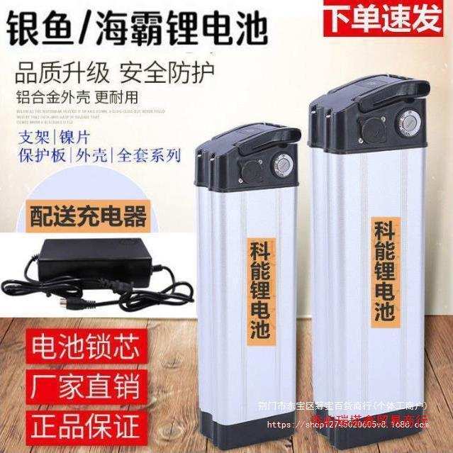 锂电池48v12ah60v动力锂电池20ah银鱼海霸款电池各种型号电瓶
