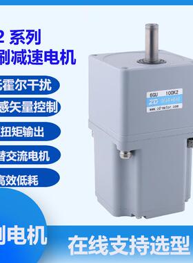 中大高压无感无刷电机220VK2系列平替微型交流电机齿轮减速电X20