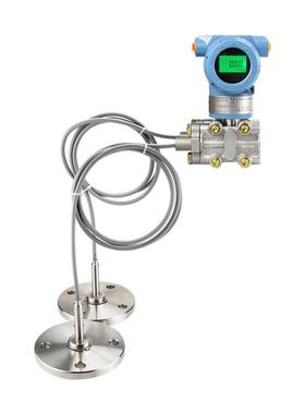 WT-3000RD6S1B04CM3L1/1199FFWSA1B-(12m)B.DN80双法兰液位变送器