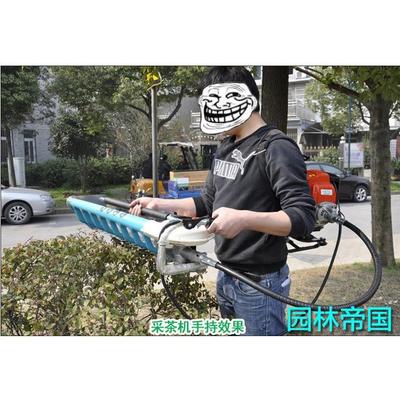 四冲139FA背负式八孔采茶机 二冲程茶叶采摘机 绿篱机配华盛动力