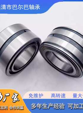 双列圆柱滚子轴承NN3034K/P4W33 NN3036K/P4W33 NN3038K/P4W33