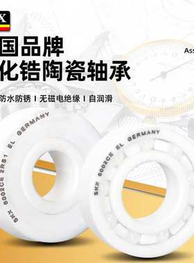德国SKX陶瓷轴承6208 6209 6210 6211 6212 6213 6214 6215 CE RS