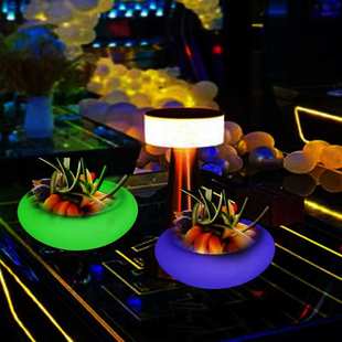 LED发光果盘灯KTV酒吧夜店咖啡厅氛围灯网红奶茶店家居装饰灯