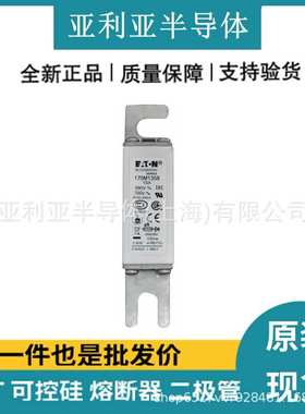 170M1358 170M1359 低压熔芯 快速保险丝 半导体电子元器件 现货