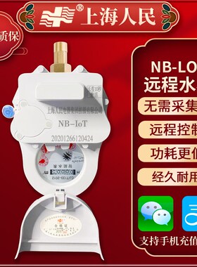 上海人民NB-IoT远程智能预付费水表出租房家用全铜自来水表4分