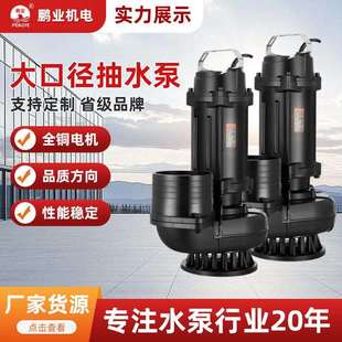 大口径抽水泵农用灌溉2寸-8寸380V污水泵家用220伏扬程30米潜水泵