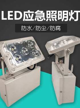 NPK4012 LED泛光灯NPE4012 LED应急低顶灯ZL8821 LED泛光灯