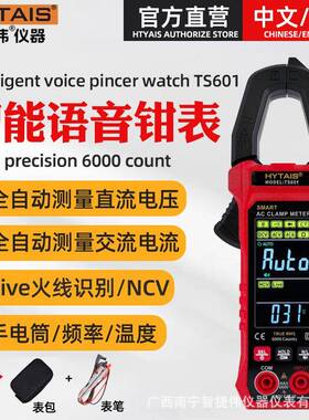HYTAIS全自动语音钳形表TS601 智能万用表多功能钳型电流表外贸