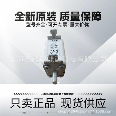 170M2619 170M2668 170M2615 170M2664 170M2662 巴斯曼熔断器