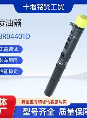 德尔福喷油器总成EJBR04401D A6650170221适用于双龙2.7D