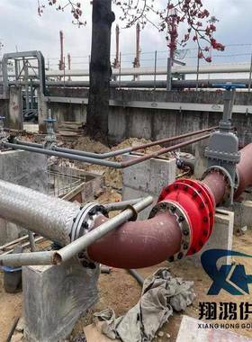 金属软管 加长松套活盘法兰式波纹管 不锈钢松套法兰金属软管