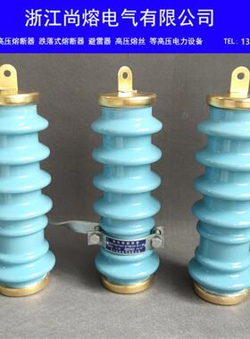 户外陶瓷氧化锌避雷器Y5WS-17/50FT线路10KV广东蓝色变压器避雷器