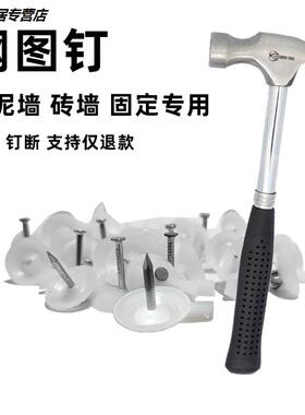 钢图钉可钉水泥墙砖墙大头钉子墙贴墙纸图丁工字钉圆头挂画小图钉