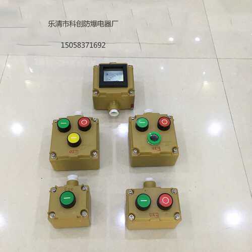 LA53防爆控制按钮 开关盒 启动停止急停按钮控制 WXLA53-2D