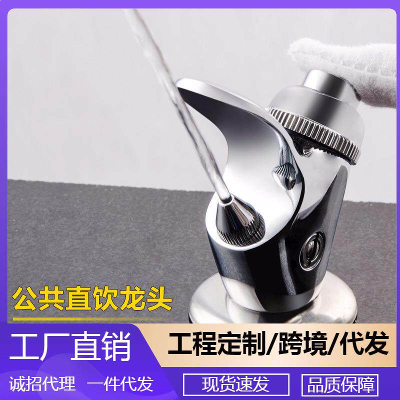 公园户外全铜直饮延时水台龙头按压手压式出水嘴按钮喷水直饮