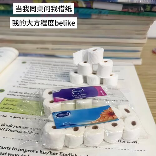 借给同学我的娃娃屋玩具纸巾卷