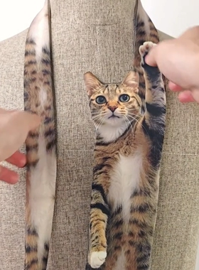 陪我上班过节的猫咪领带