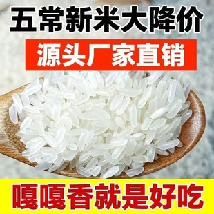 2026年新大米【到手2大袋】现磨现发三标认证产地直发东北大米-K