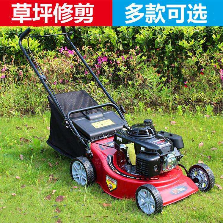 草坪用修剪打草机 手扶自走式汽油割草机 20寸自走式园林除草机,玩具/童车/益智/积木/模型,毛绒/玩偶/公仔/布艺类玩具,淘宝优惠券,粉丝福利购,淘宝优惠卷