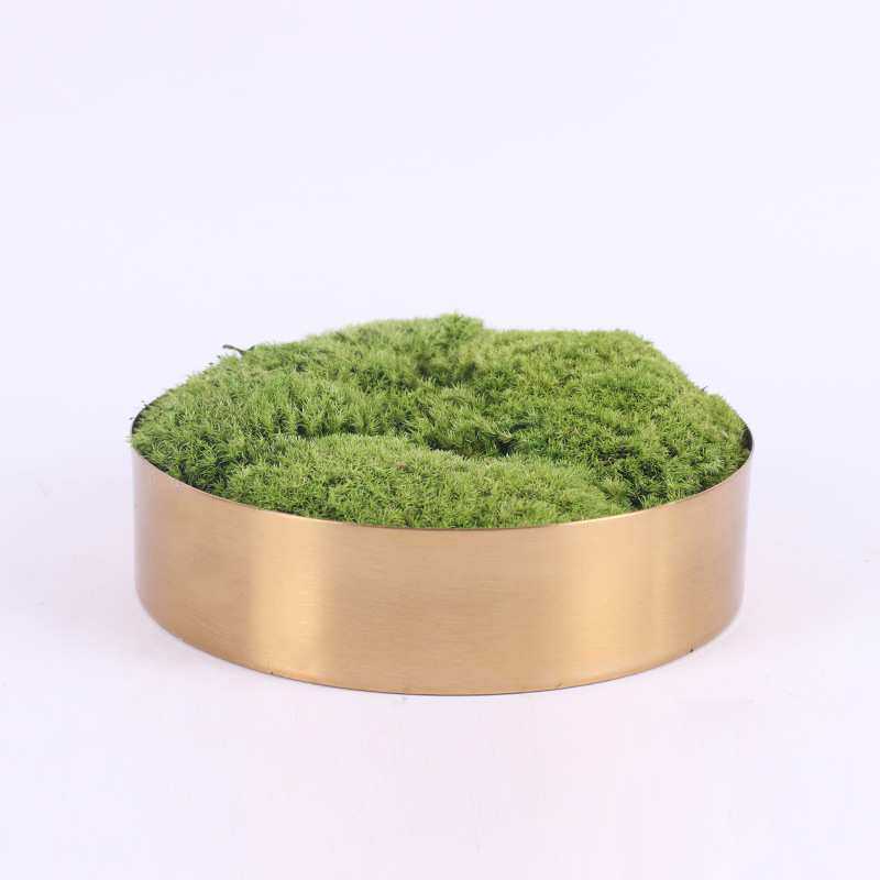 新中式仿真微观绿植枯山水盆景售楼处洽谈桌书房 永生苔藓